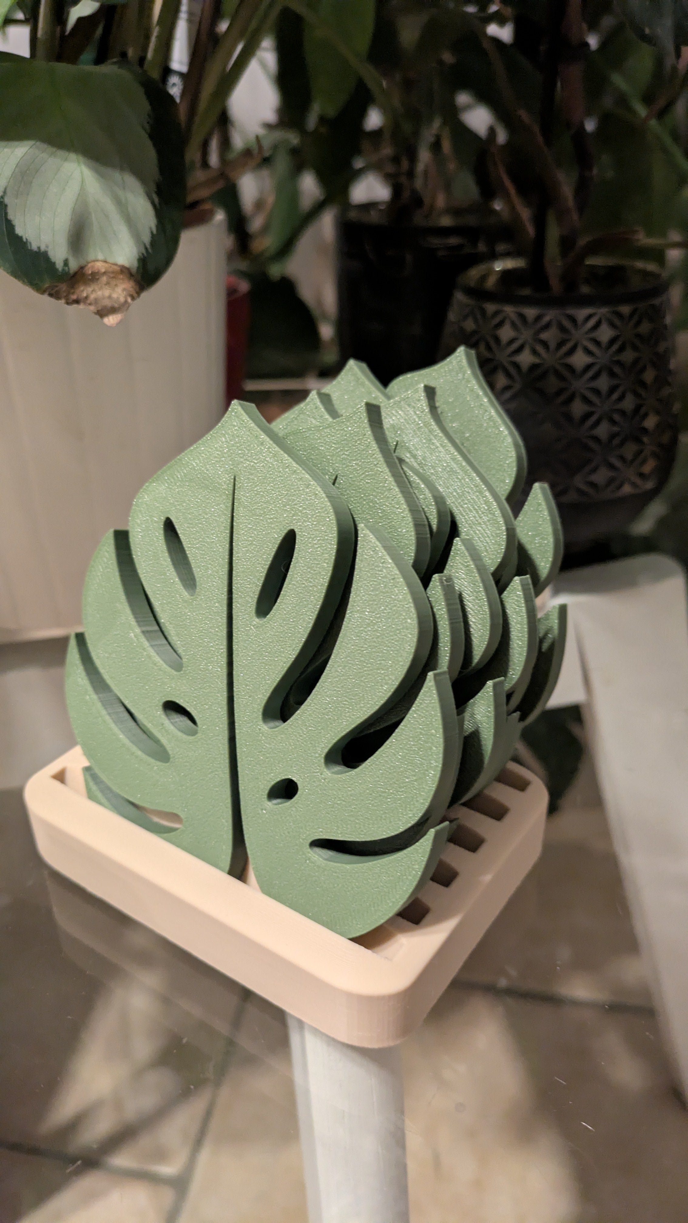 Monstera Yaprak Bardak Altlığı Seti