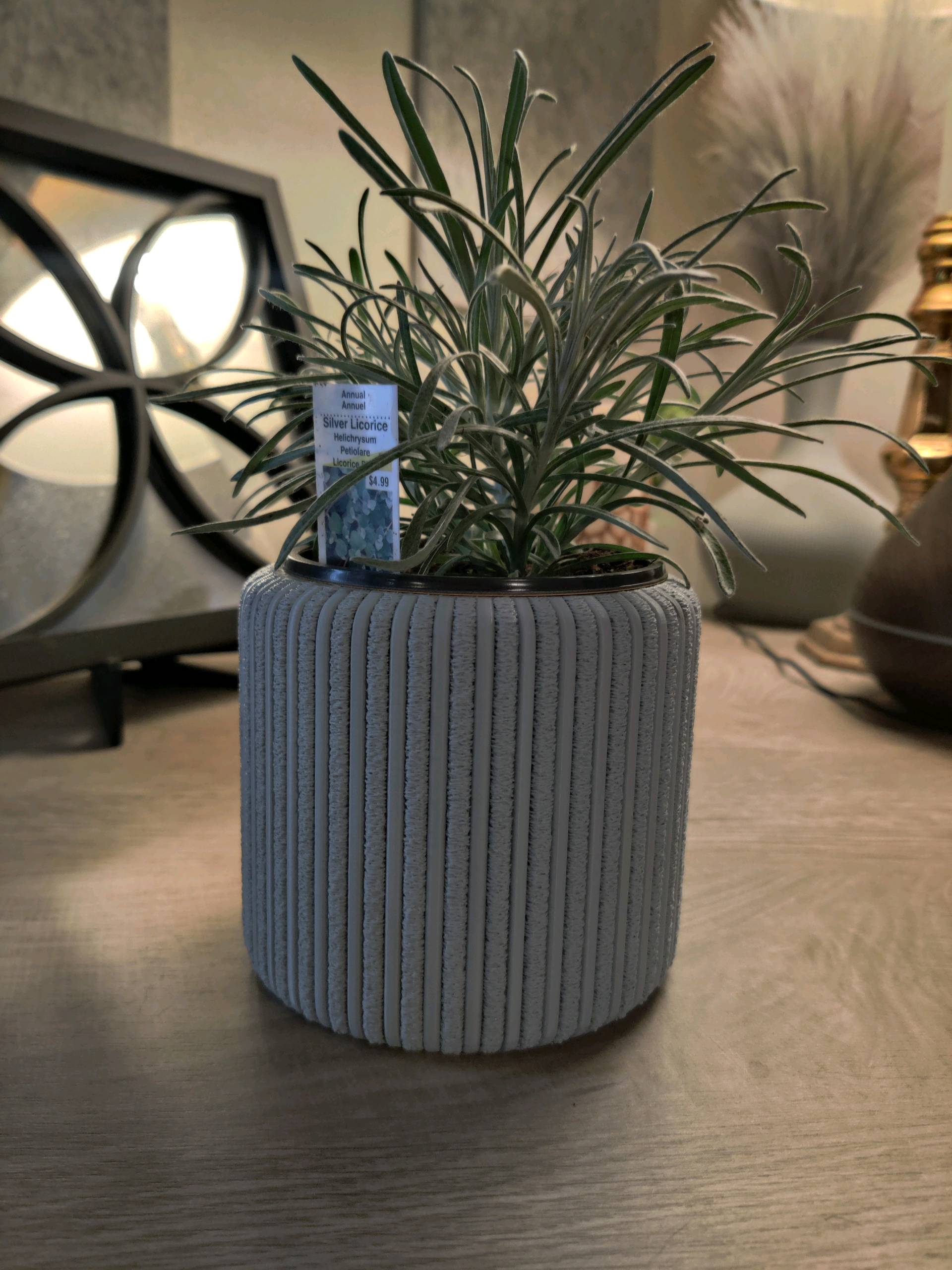 Natura Fitilli Dekoratif Saksı