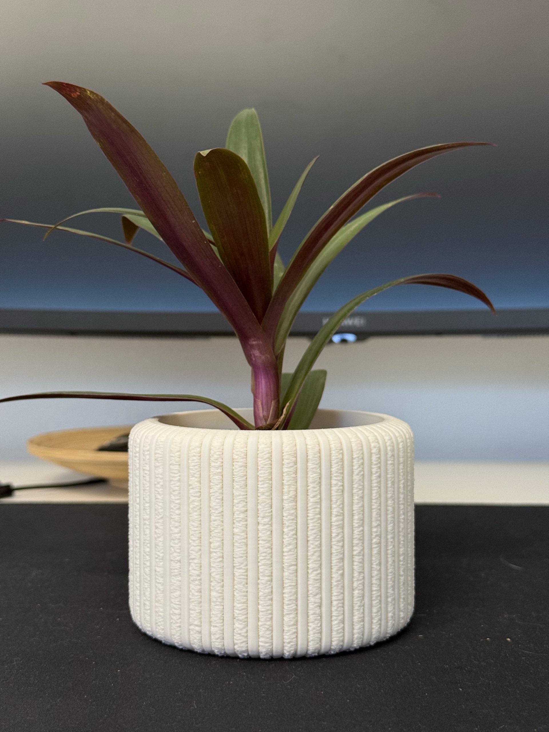 Natura Fitilli Dekoratif Saksı