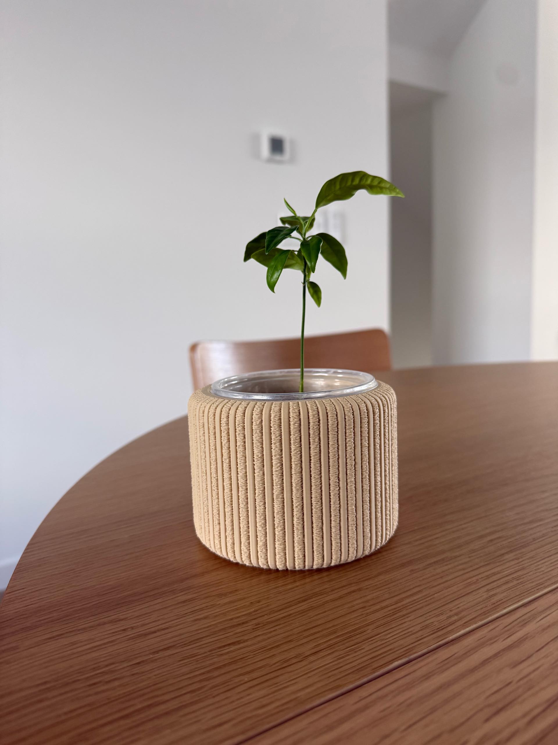 Natura Fitilli Dekoratif Saksı